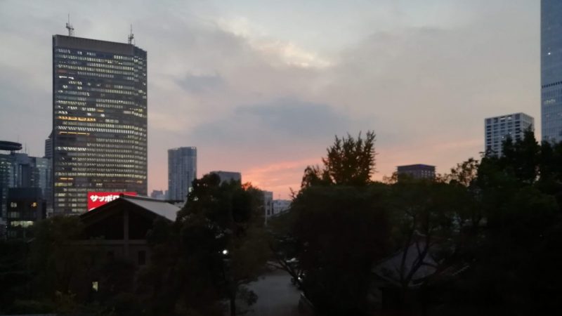 東京のオフィス街の夕焼け